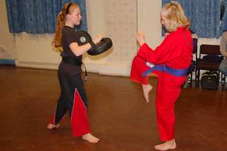Karate pictures and photoscobras_0506.JPG