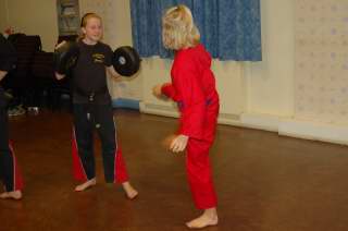 Karate pictures and photoscobras_0507.JPG
