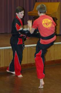 Huddersfield Cobras karate club gallery imagecobras_0527.JPG